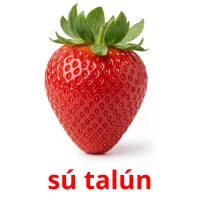 sú talún карточки энциклопедических знаний