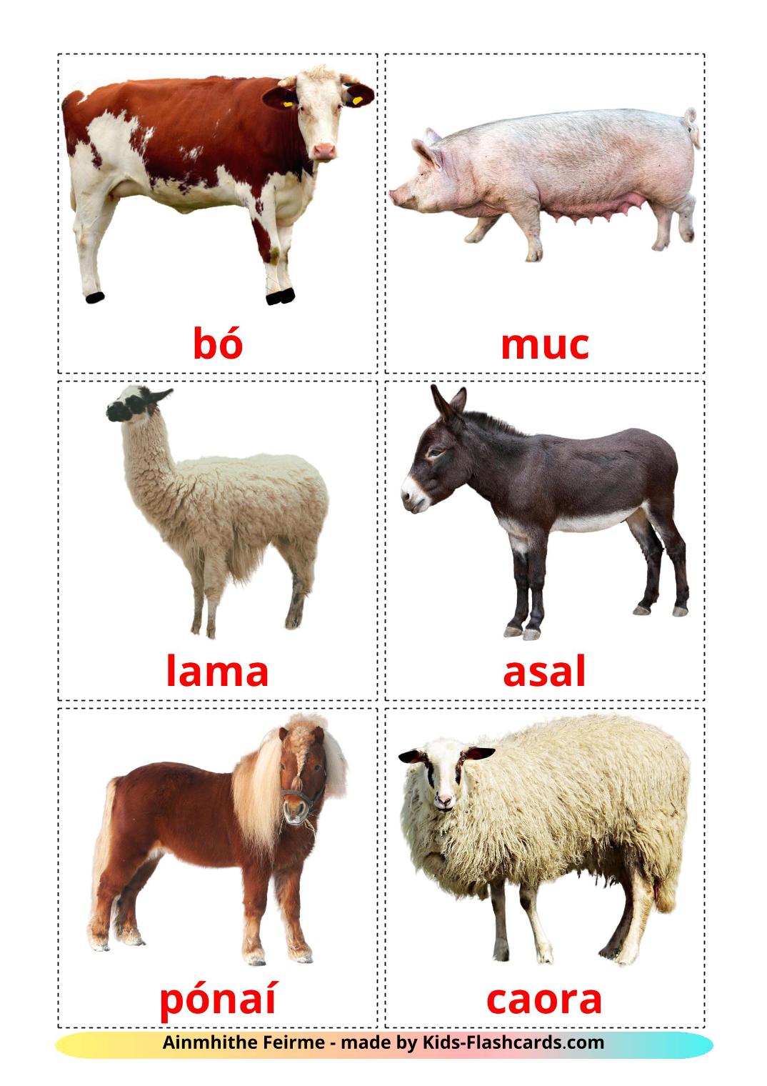 Farm animals - 15 Free Printable irish Flashcards 