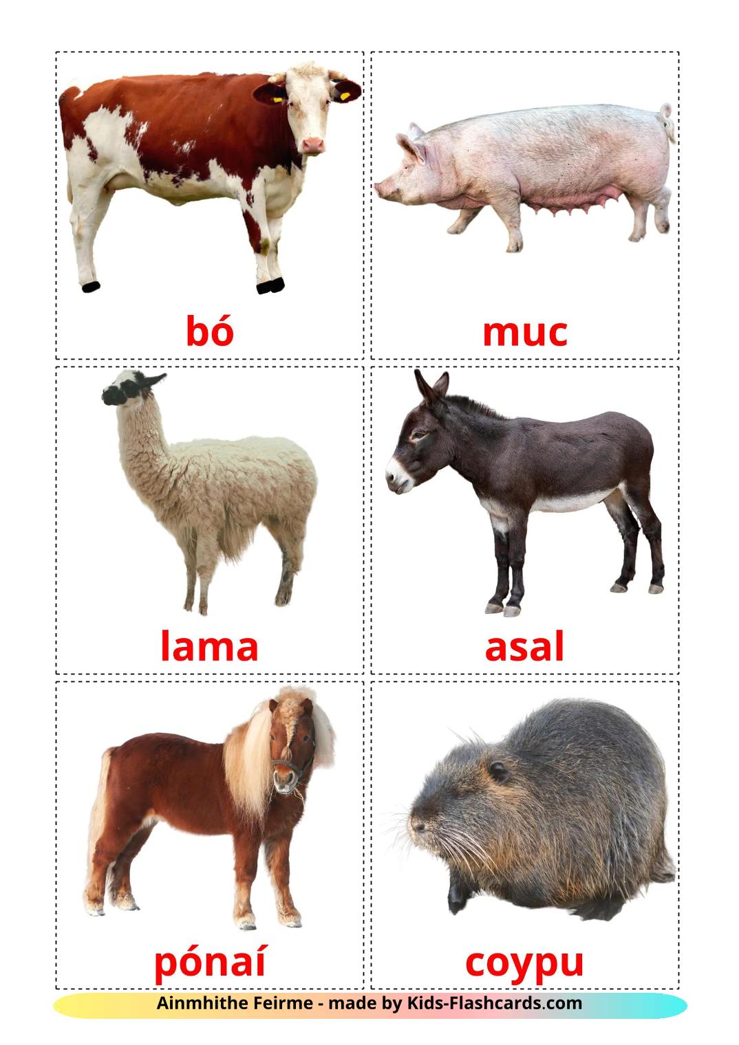 Farm animals - 16 Free Printable irish Flashcards 