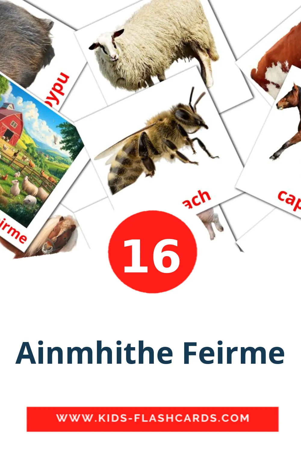 16 Ainmhithe Feirme Picture Cards for Kindergarden in irish