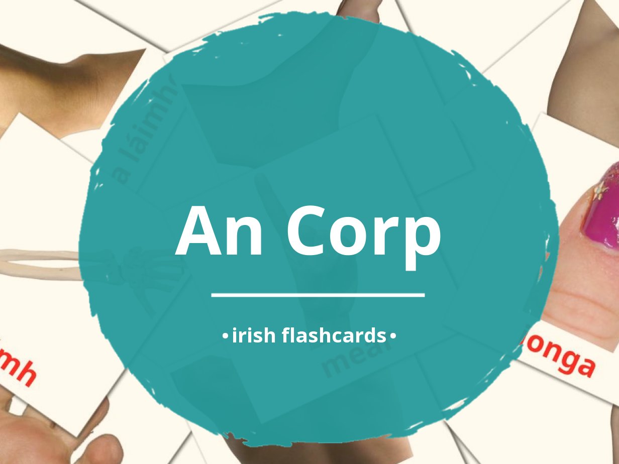 26 FREE Body Parts Flashcards | PDF | Irish Words