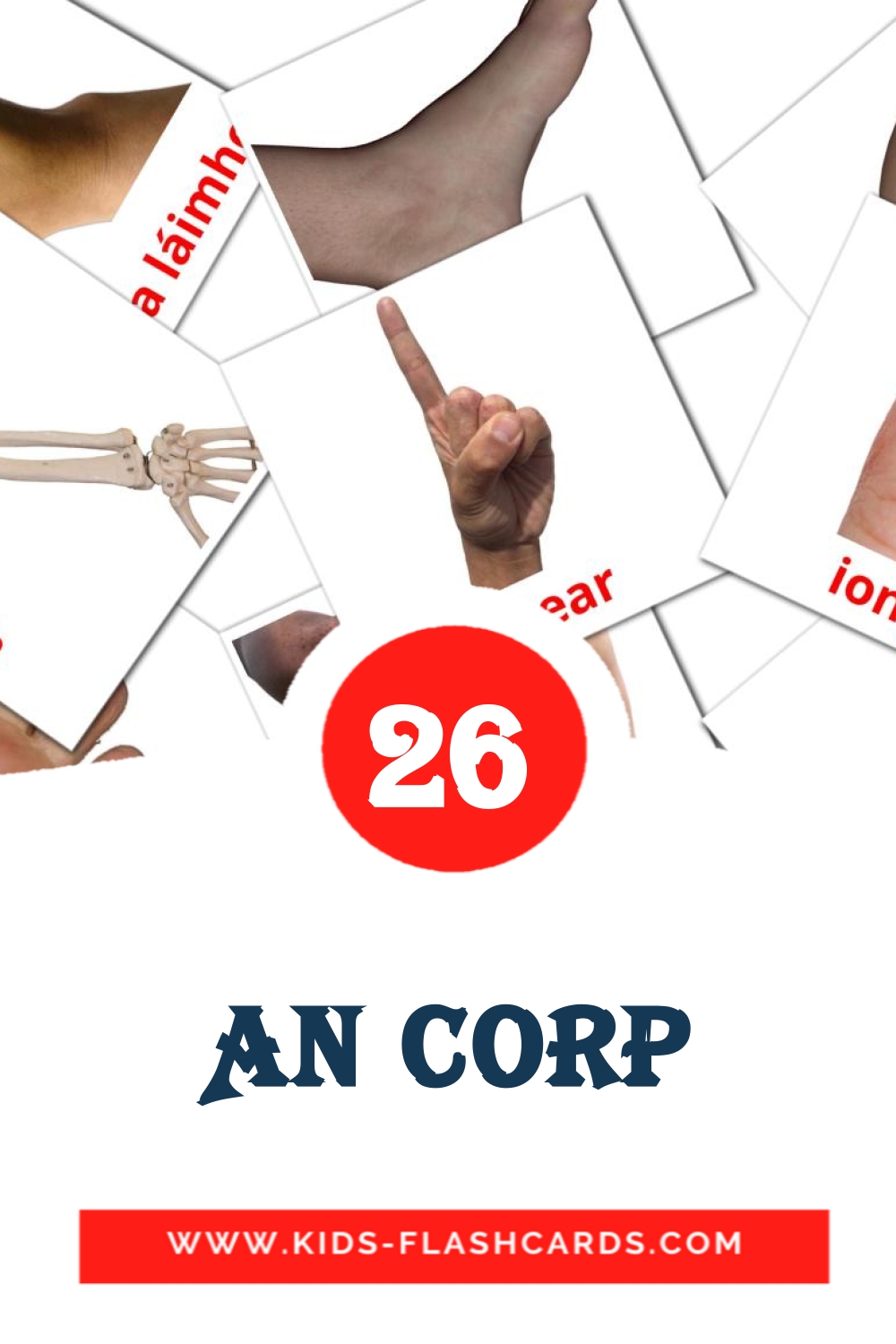 26 cartes illustrées de An Corp pour la maternelle en irlandais