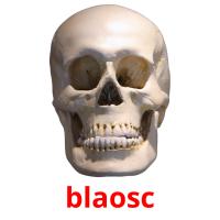 blaosc picture flashcards