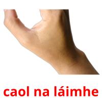 caol na láimhe picture flashcards