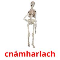 cnámharlach flashcards illustrate