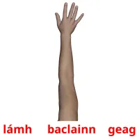 lámh     baclainn    geag picture flashcards