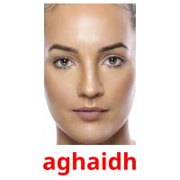 aghaidh picture flashcards