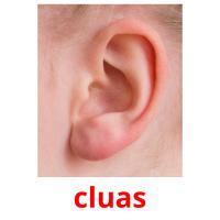 cluas picture flashcards