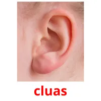 cluas picture flashcards