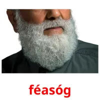 féasóg picture flashcards