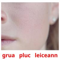 grua   pluc   leiceann picture flashcards