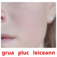 grua   pluc   leiceann picture flashcards