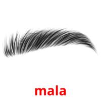 mala picture flashcards