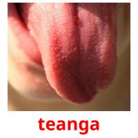 teanga picture flashcards