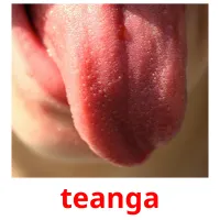 teanga picture flashcards