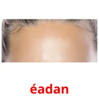 éadan picture flashcards