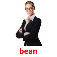 bean picture flashcards