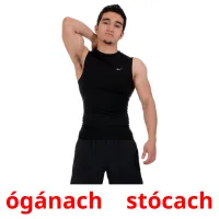 ógánach    stócach picture flashcards