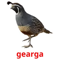 gearga bildkort för barn
