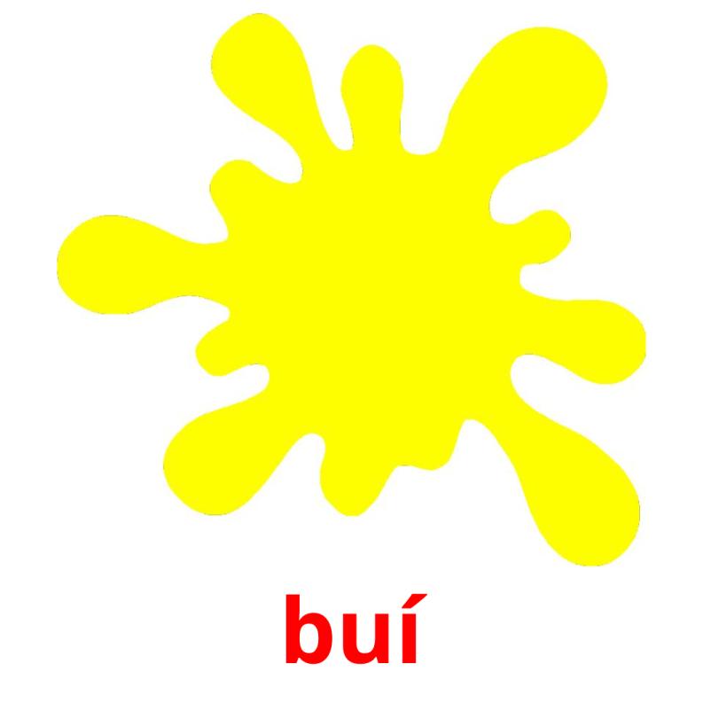 buí picture flashcards