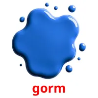 gorm picture flashcards