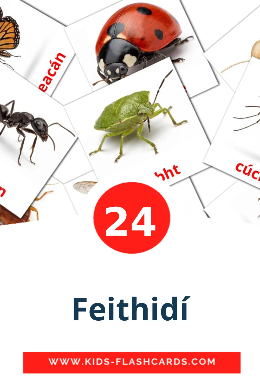 24 bildekort med Feithidí for barnehagen på irsk