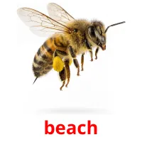 beach bildekort