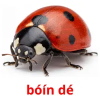 bóín dé bildekort