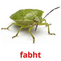 fabht bildekort