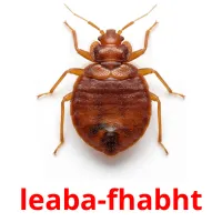 leaba-fhabht bildekort