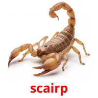 scairp bildekort