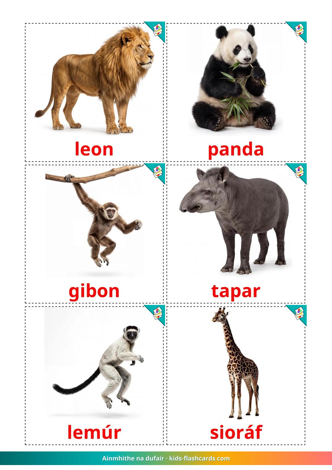 Les Animaux de la Jungle - 22 Cartes de vocabulaire irlandais imprimables gratuitement