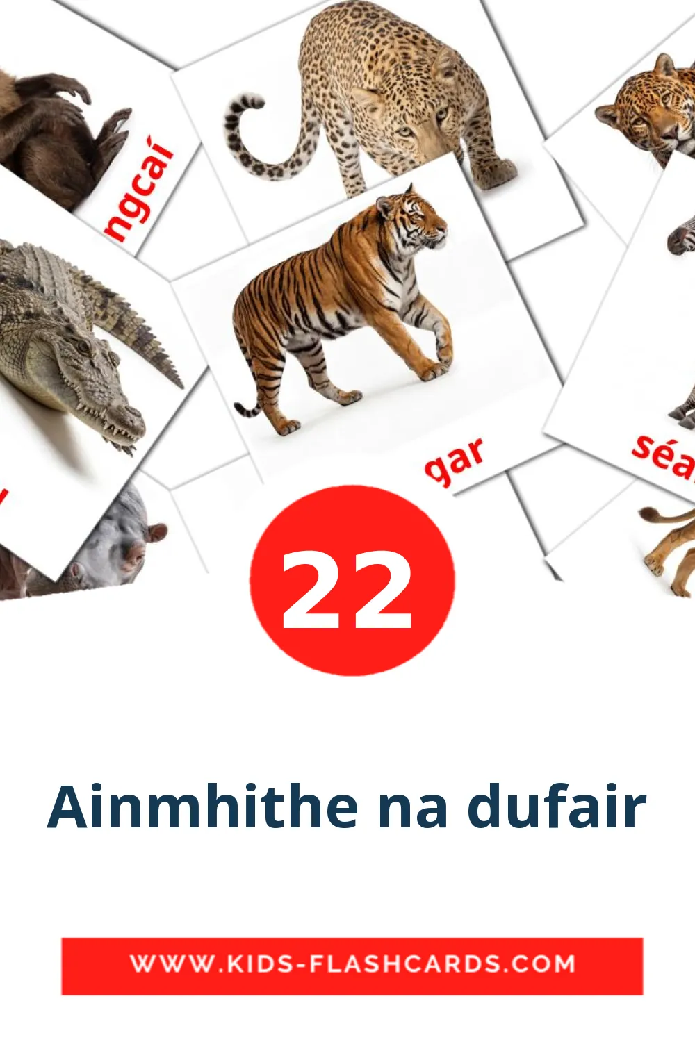 22 cartes illustrées de Ainmhithe na dufair pour la maternelle en irlandais