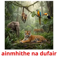 ainmhithe na dufair cartes de vocabulaire