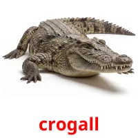 crogall cartes de vocabulaire
