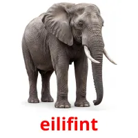 eilifint cartes de vocabulaire