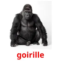 goirille cartes de vocabulaire