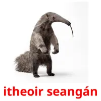 itheoir seangán cartes de vocabulaire