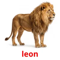 leon cartes de vocabulaire