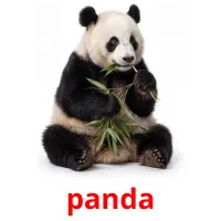 panda cartes de vocabulaire