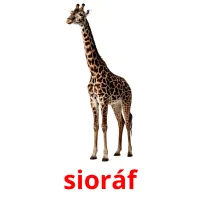 sioráf cartes de vocabulaire