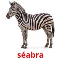 séabra cartes de vocabulaire