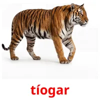 tíogar cartes de vocabulaire
