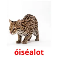 óiséalot cartes de vocabulaire