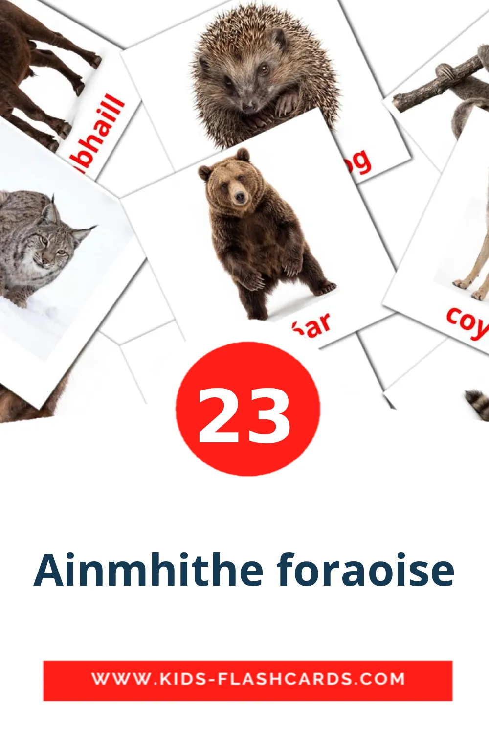 23 billedkort for børn med Ainmhithe foraoise til børnehaveklassen på irsk