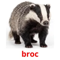 broc billedkort for børn med billeder