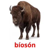 bíosón billedkort for børn med billeder