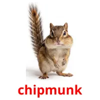 chipmunk billedkort for børn med billeder