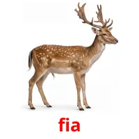 fia billedkort for børn med billeder