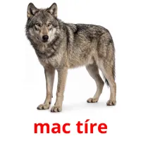 mac tíre billedkort for børn med billeder